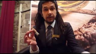 Cgars Ltd - Regius Robusto Taste Test Review