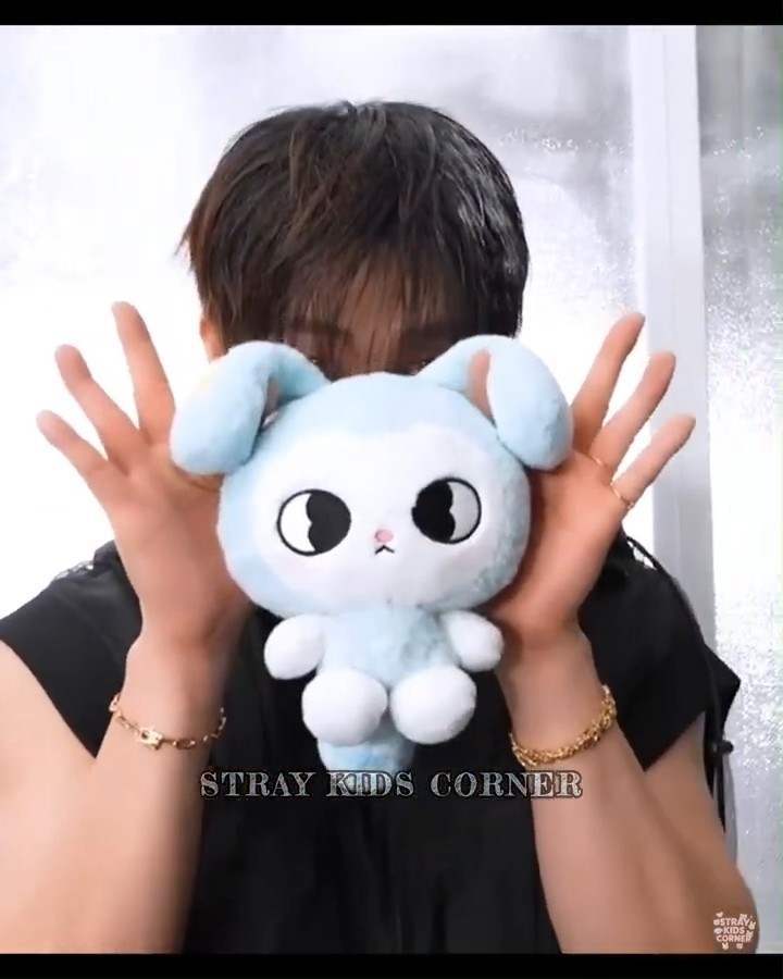 Introducing ✨TASY✨ The official ''STAY'' plushie