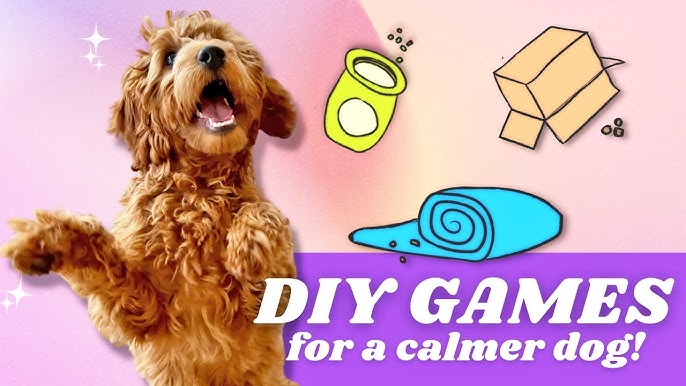The Pringle Tube Game - DIY Brain Games for Dogs - Bounce and Bella