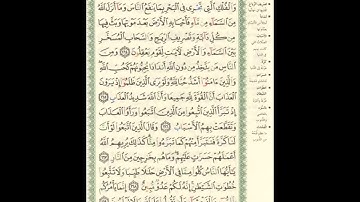 الورد اليومى.. سورة البقرة من الاية 164 الى الاية 169 بصوت القارئ الشيخ ماهر المعيقلى