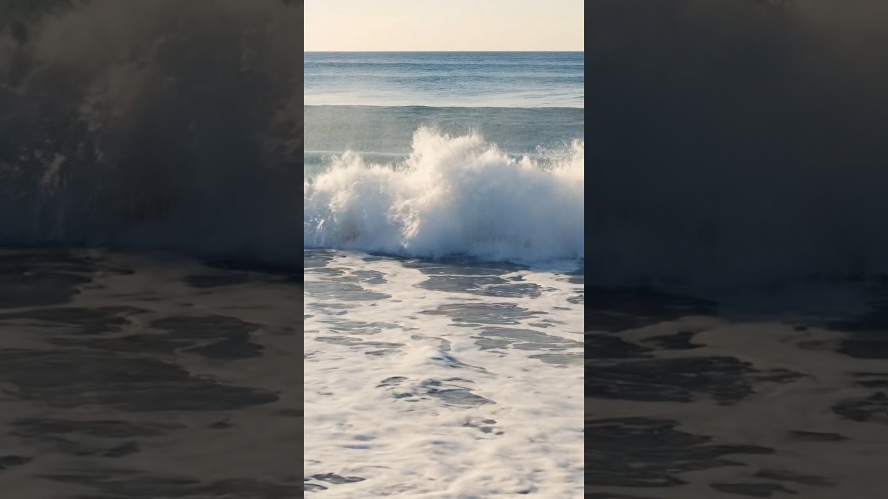 This Calm Scene Feels Unreal 😌 