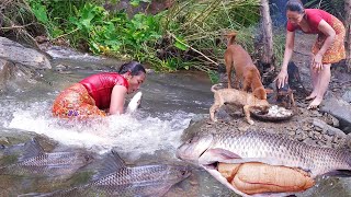 Survival skills: Catch two big fish by hand in river - Fish egg soup delicious Eating with dogs
