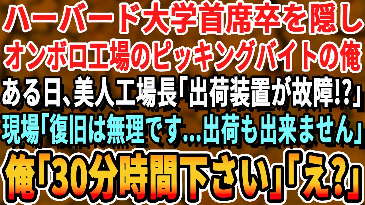 【感動する話】ハーバード大卒を隠し工場のピッキングバイトの俺。ある日、美人工場長「出荷装置が故障で全停止!?」現場「復旧は無理です…」→俺「30分時間下さい！」【いい話・泣ける・号泣・スッキリ・涙腺】