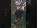 que tipo de jogador vc é??? #minecraft