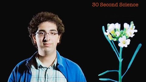 Alan Sage: 30 Second Science