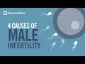 4 causes of male infertility