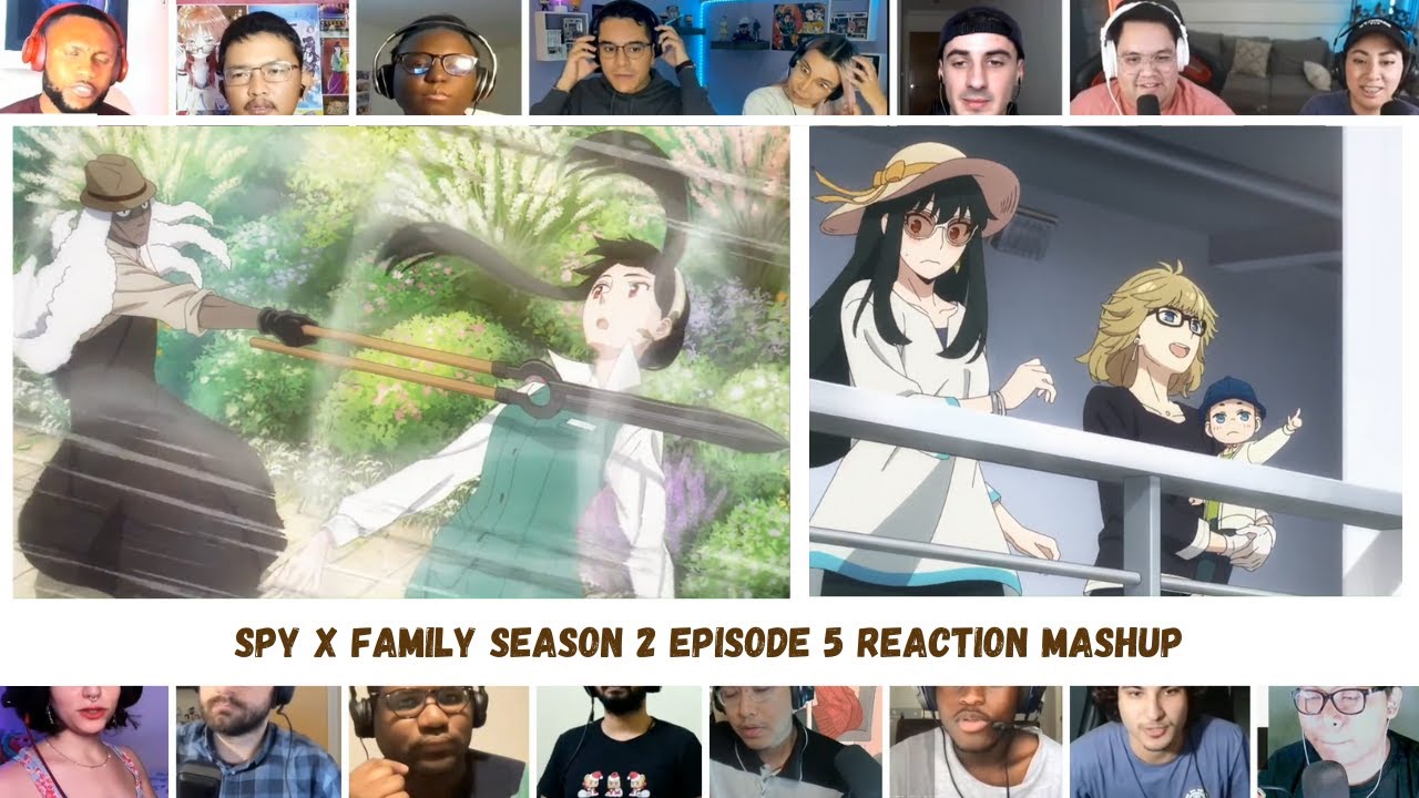 Animehouse — Spy x Family Season 2 Episode 2: Damian's Research