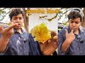 பெரிய கொம்பு தேன் - Extracting Honey with Tribes - Irfan's View