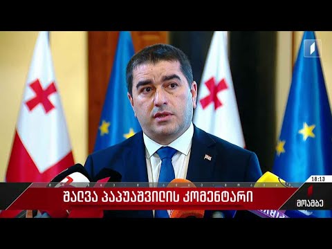 შალვა პაპუაშვილი პრეზიდენტის ჩეხეთში დაგეგმილ ვიზიტს გამოუხმაურა