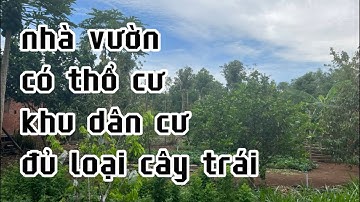 a hải lâm vào cảnh khó khăn nợ nần chồng chất cần bán nhà vườn đủ loại cây trái ở bà rịa vũng tàu