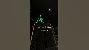 اجر لي و لكم💖💝#سورة#العنكبوت