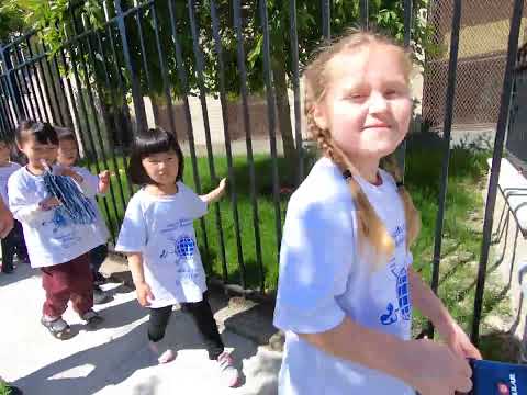 St. Mark Catholic Academy School Walk-a-Thon Sheepshead Bay, Brooklyn 2019 Katie 13