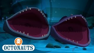 #StayHome Octonauts  Gobblefish! | Compilation | Cartoons for Kids