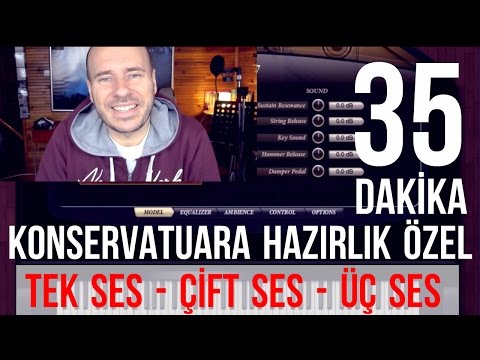 Video: COP'a Sesler Nasıl Dahil Edilir?