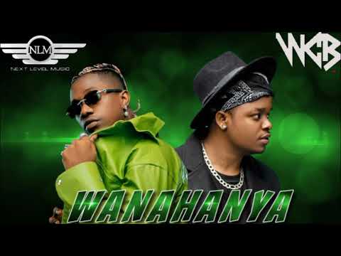 Rayvanny Wanahanya Feat Whozu Official Music Video