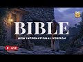 NIV Bible Live – Find Comfort and Guidance in God’s Word 🔴 BibleVision LIVE