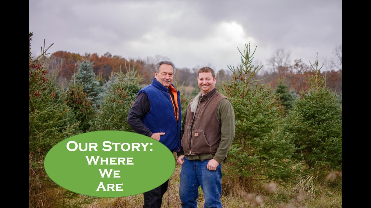 Our Story: The Present State of Hillside Christmas Tree Farm - YouTube