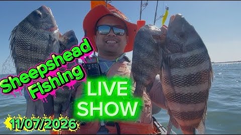 Sheepshead fishing live show on November 7, 2025 #KayakFishing #SheepsheadFishing #Hobiekayak #FYP