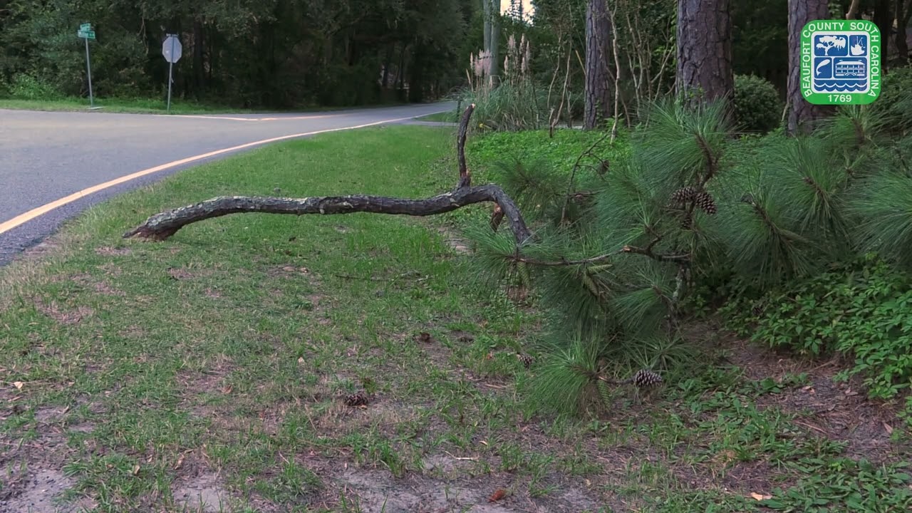 Lady's Island, SC - September 29, 2022