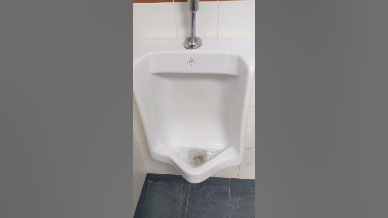 1990s/2000s crane Canadian Cromwell urinals YouTube