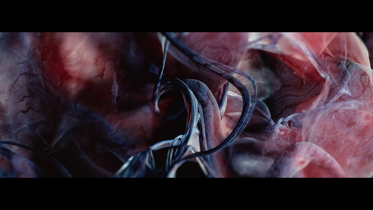 Guarda Robot Koch - Manifold (Official Video) su YouTube Guarda Robot Koch - Manifold (Official Video) su YouTube