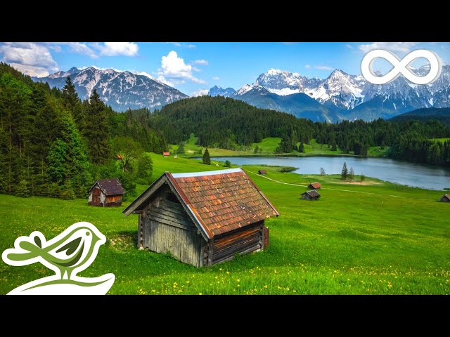 Paradise: Beautiful Relaxing Music with Piano, Cello, Duduk, Flute u0026 Violin class=