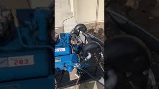 IMG 2754