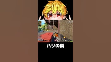 【APEX】ハリの巣　#shorts #切り抜き #ゲーム実況 #apexショート動画 #apexクリップ #ゲーム実況 #クリップ集 #ゲーム