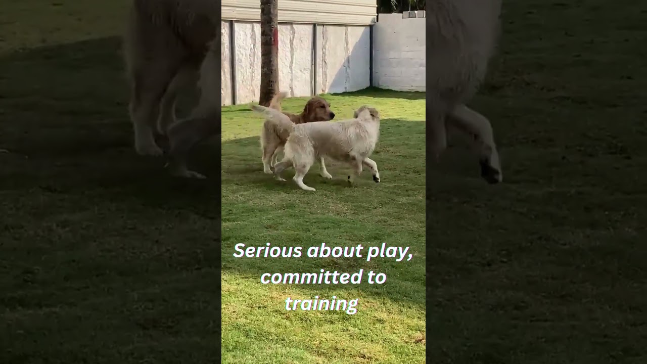 Serious about play, committed to training 