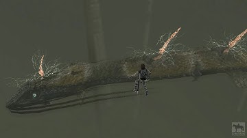 Shadow of the Colossus - Invisible water