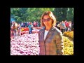 Бал хризантем в Никитском саду (Крым)