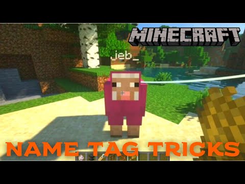 Minecraft - Name Tag Tricks