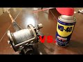 The TRUTH of WD40 vs Fishing Reels !!!