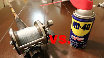 Is WD-40 good for fishing reels?