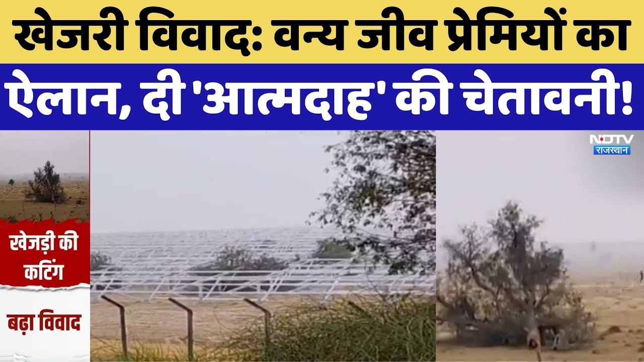 Khejri Tree Dispute: वन्य जीव प्रेमियों का ऐलान, दी 'आत्मदाह' की चेतावनी!। Top News । Rajasthan