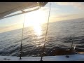 Best sport fishing in the lower florida keys  sailfish watch the full unedited fight and landing