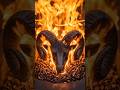 The ULTIMATE ARIES TEMPLE! ♈🔥 #zodiac #aries #transformation