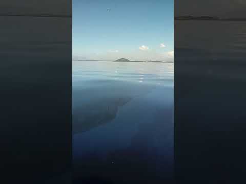 Derramamento de óleo na Baía de Guanabara