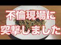 妻と不倫相手の密会を尾行して本人達に凸しました。