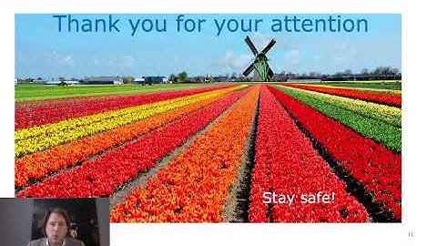 Netherlands’s video MA presentation during Climate Dialogues 2020