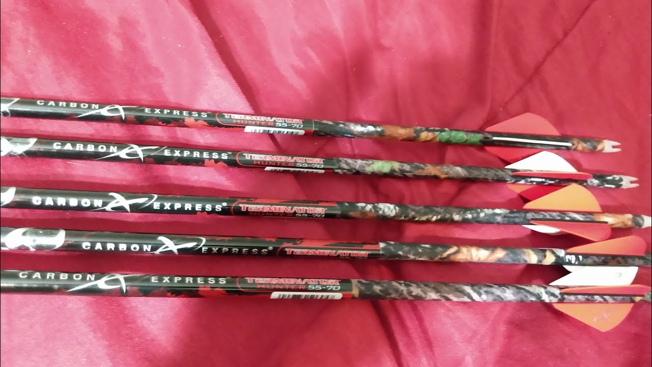 CARBON EXPRESS TERMINATOR HUNTER ARROWS!!!!! 95¢ AN ARROW AT WALMART ...