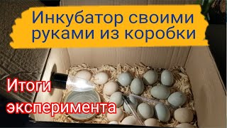 🐣🐤🐥 Самодельный инкубатор из коробки - что из этого вышло 🐣🐤🐥