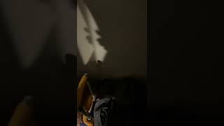 CB Short: Craxel boi Gets Locked In!