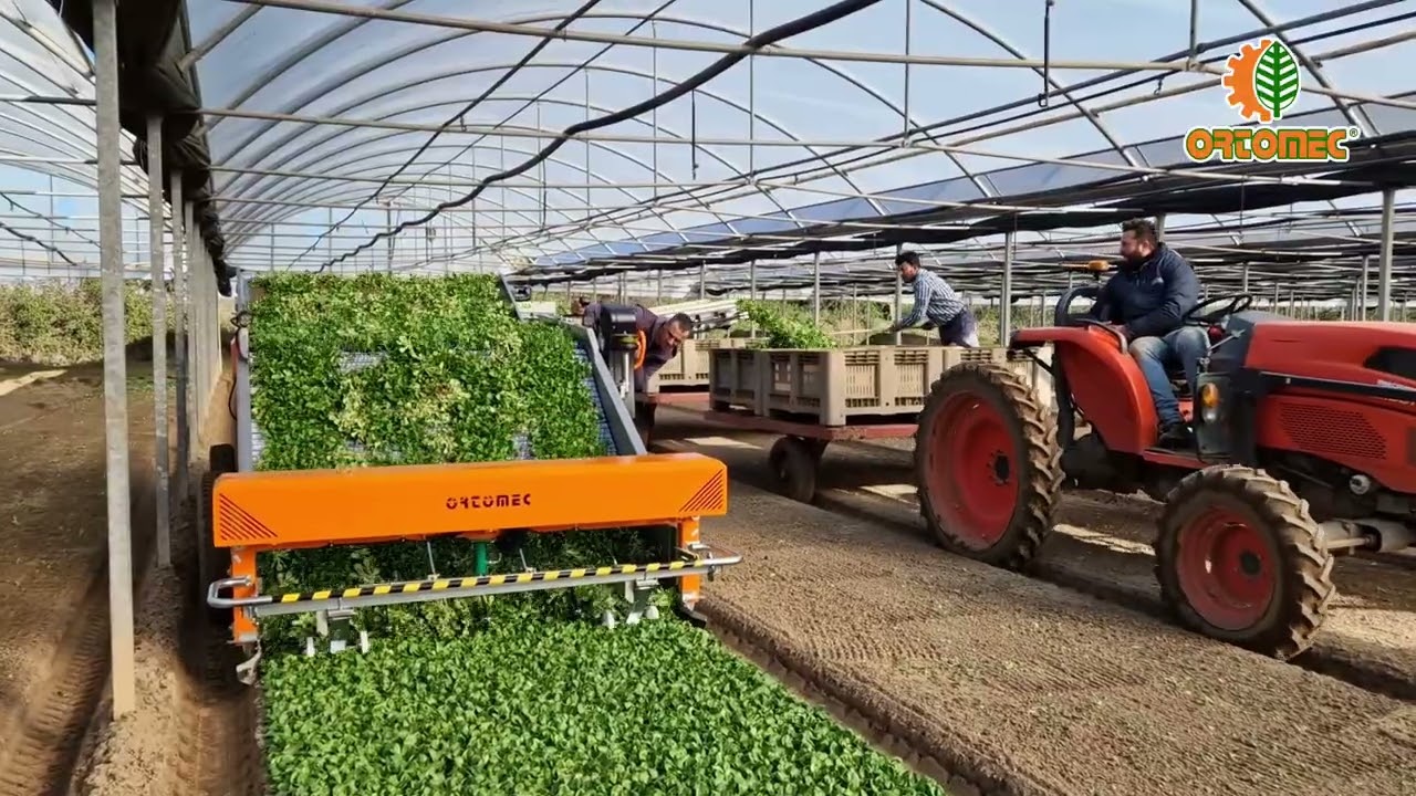 8000 New Herbex Harvester | Ortomec