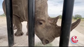 Unique blend of wine and wildlife at the Rhinory