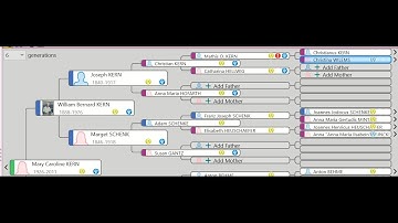 Color coding RootsMagic 9 for Source strength of connections between Generations