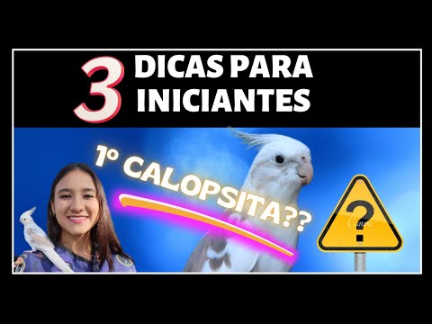 3 DICAS PARA