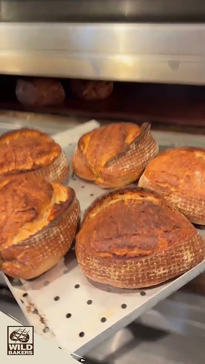 Warum die Wildbakers auf den HELIOS Etagenbackofen von DEBAG setzen