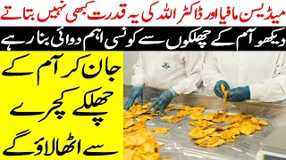 آم کے شوقین نبیؐ کی سنت جان لیں پھر خالی آم نہیں کھائیں گے Amazing Benefits Of Mango Peels by HUM SAB 4,392 views 1 year ago 8 minutes, 19 seconds