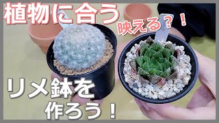 【#99】植物（サボテン・多肉）が主役！映える鉢を作ろう！シンプルで簡単だけど植物が素敵に見えるような鉢を作ります